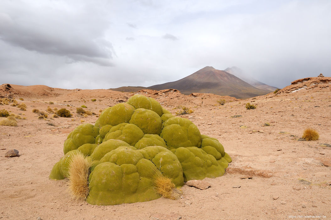 Bilder aus Bolivien - Aussicht auf den Vulkan Ollag�e, den einzigen aktiven Vulkan Boliviens