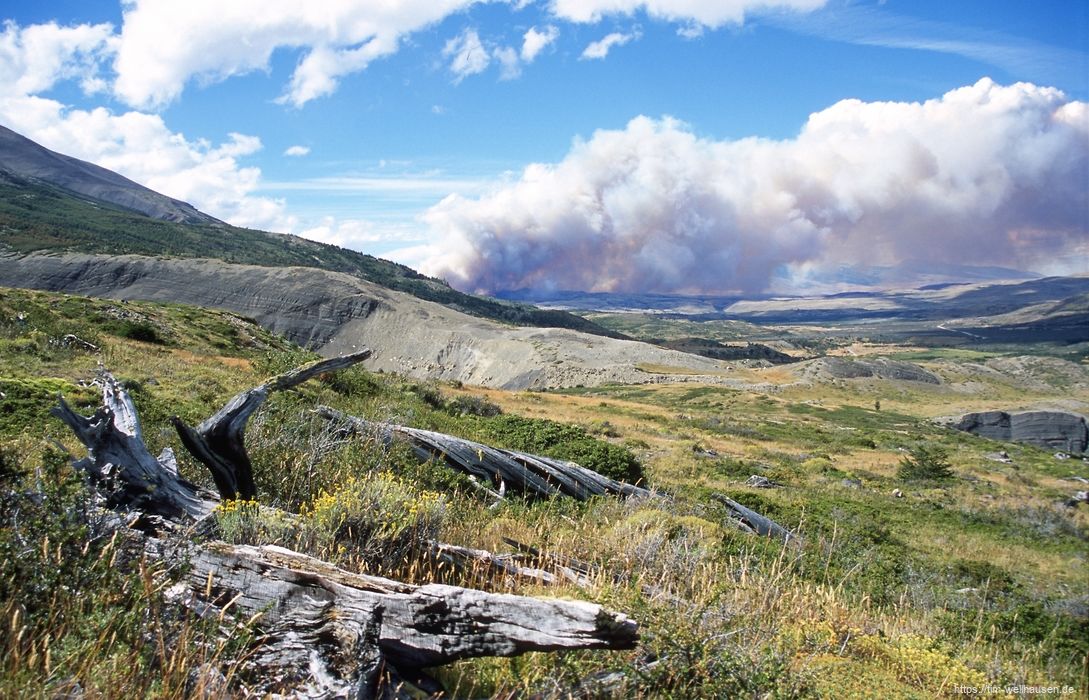 Bilder aus Chile - Dieser Brand war nicht der erste...