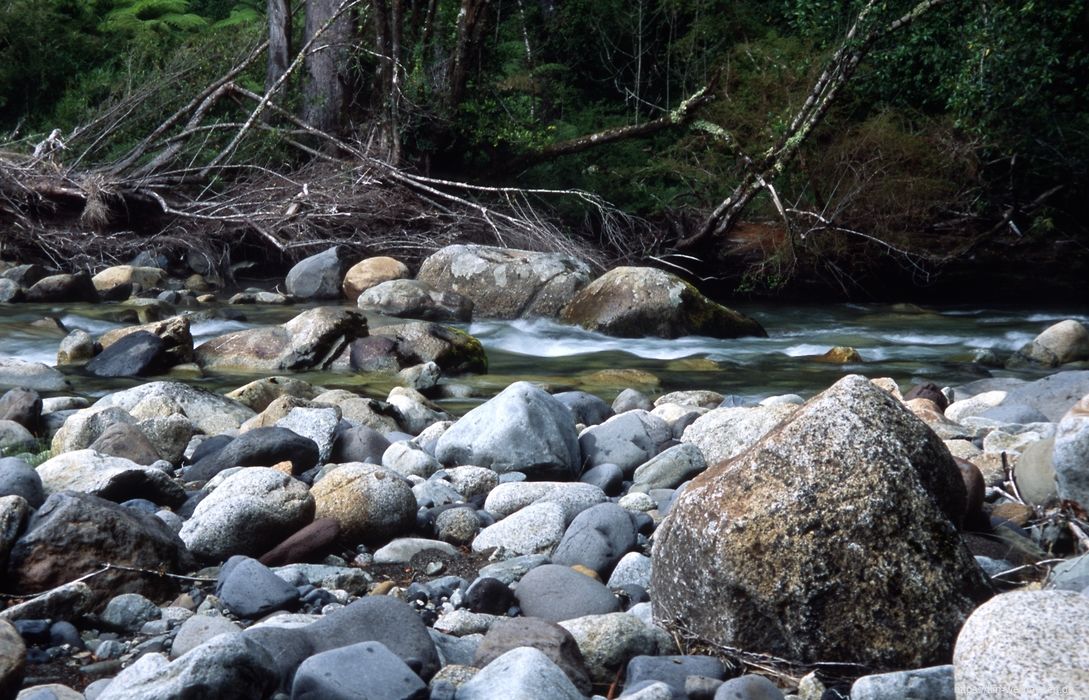 Bilder aus Chile - Ebenfalls am Rio Sin Nombre