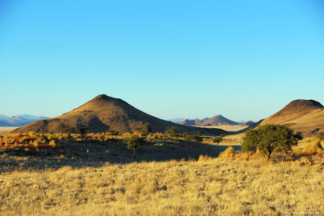 Bilder aus Namibia - Nach einer Nacht unter freiem Himmel Blick vom Bett aus in die morgendliche Landschaft.