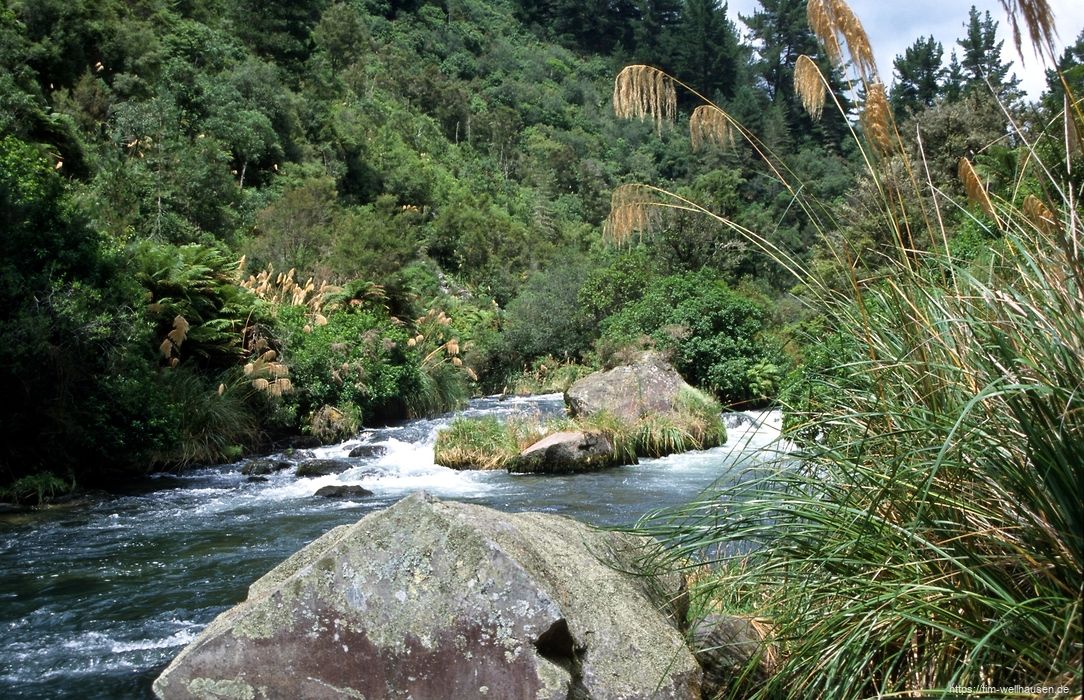 Bilder aus Neuseeland - Rangitaiki river