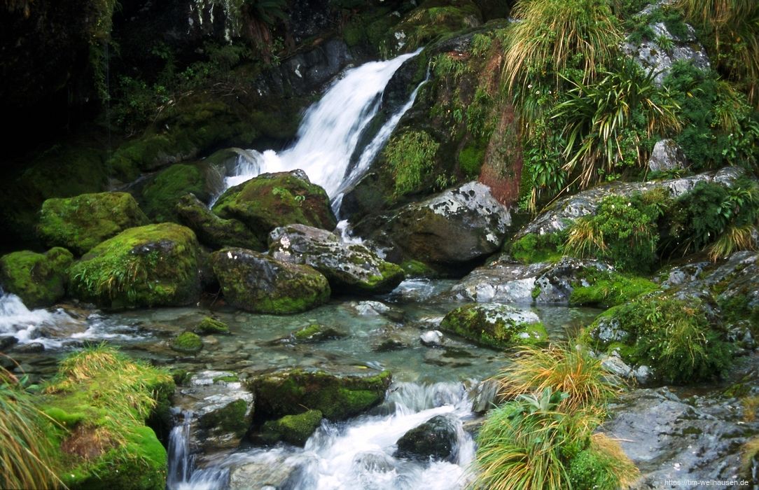 Bilder aus Neuseeland - Routeburn Track, im Regen