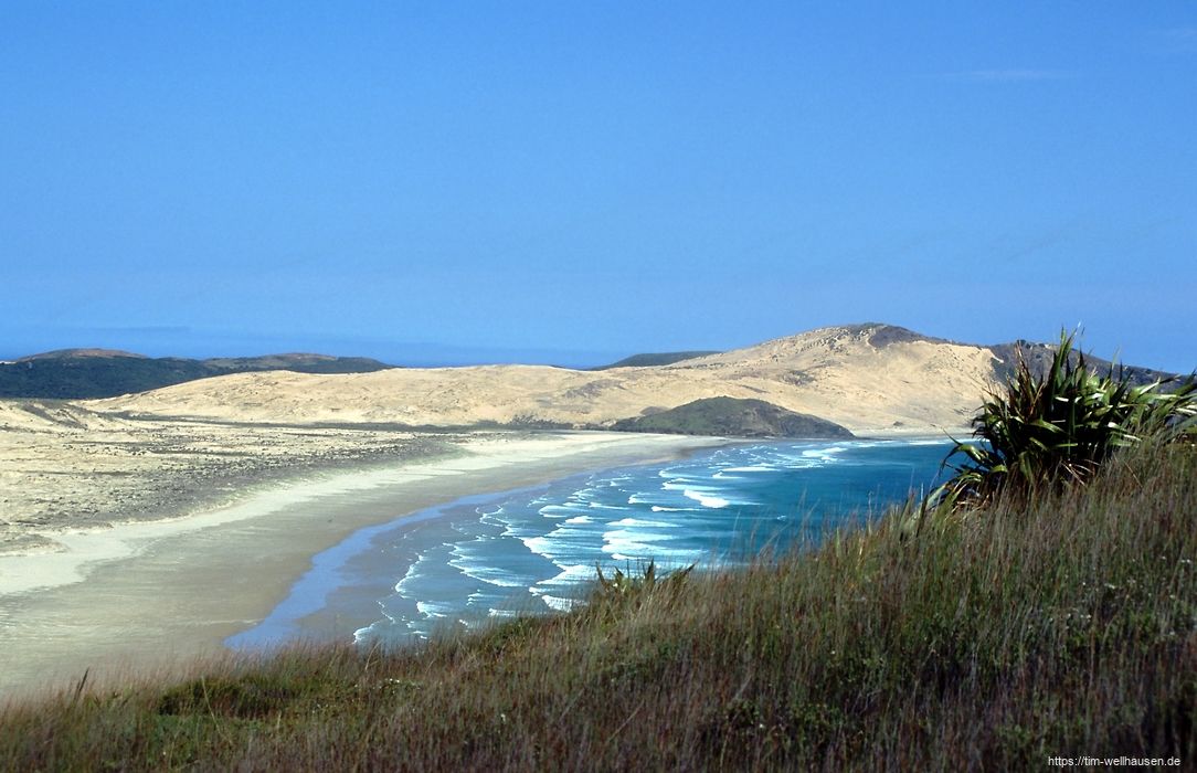 Bilder aus Neuseeland - Cape Reinga