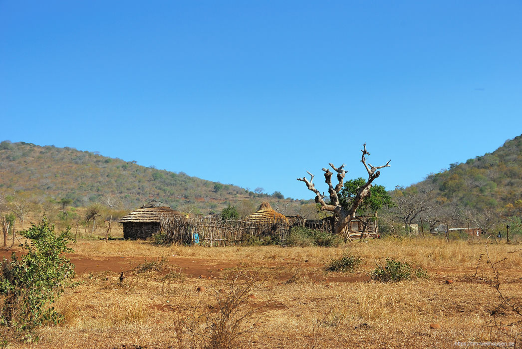 Bilder aus S�dafrika - Auf der Fahrt von KwaZulu Natal nach Swaziland begegnen einem noch viele traditionelle H�tten - meistens ein Zeichen f�r die Armut der Gegend!