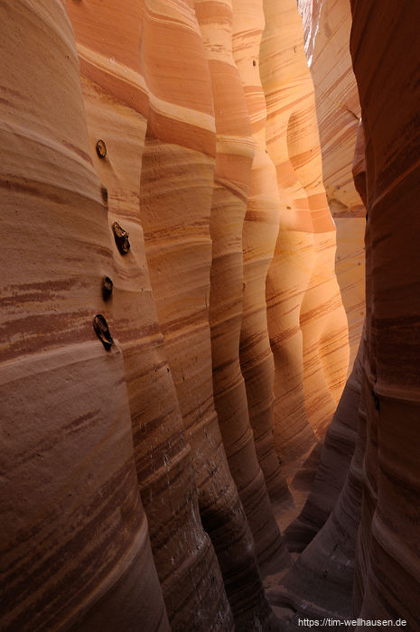 Bilder aus dem S�dwesten der USA - Streifen und eingewachsene Moqui-Kugeln - der Zebra Canyon