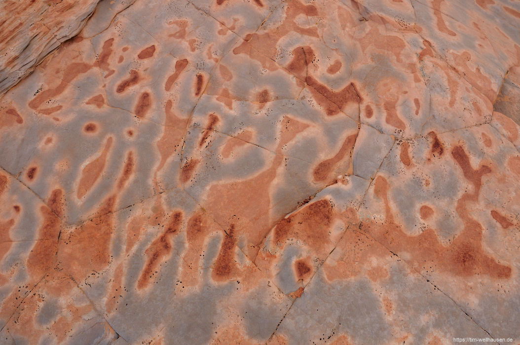 Bilder aus dem S�dwesten der USA - Kein Graffiti an der Wand, sondern nat�rlicher, bunter Sandsteinboden