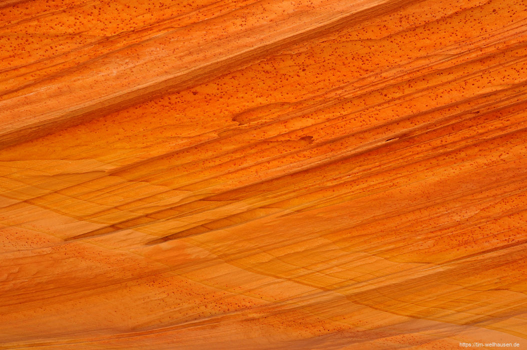 Bilder aus dem S�dwesten der USA - Details im Schatten einer Felswand #2