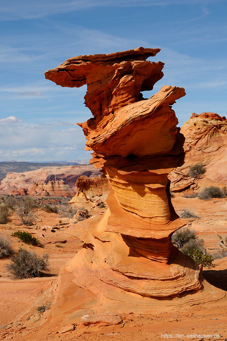 Bilder aus dem S�dwesten der USA - Der ber�hmte Dali-Felsen in den Coyote Buttes South