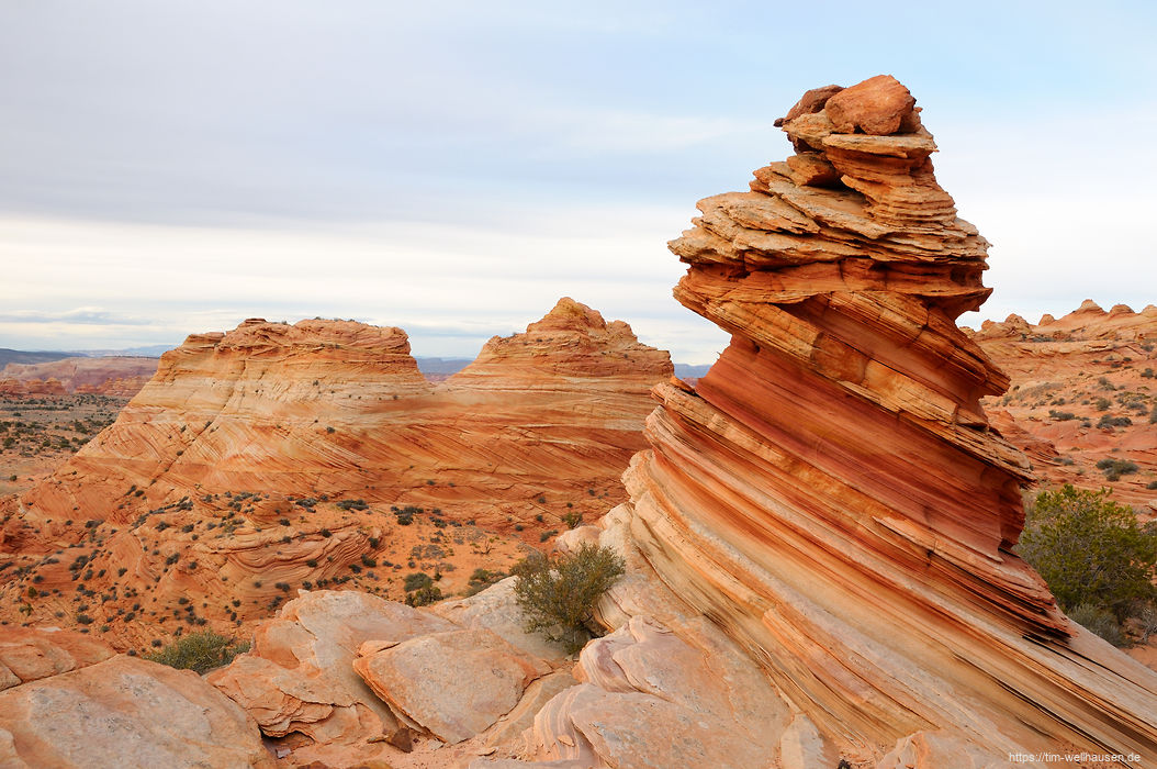 Bilder aus dem S�dwesten der USA - Der W�chter