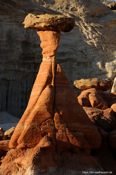 Bilder aus dem S�dwesten der USA - Der gro�e Toad Stool Hoodoo an der Stra�e zwischen Page und Kanab