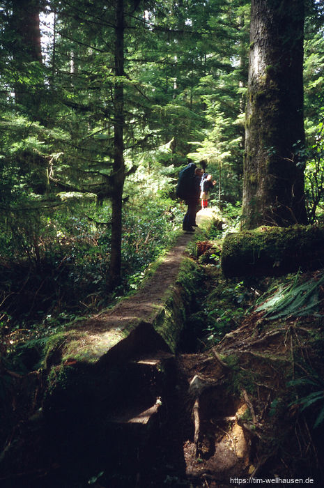 Bilder vom West Coast Trail - Nach unserem Start am s�dlichen Ende war zuerst der schwierigste Teil zu bew�ltigen.