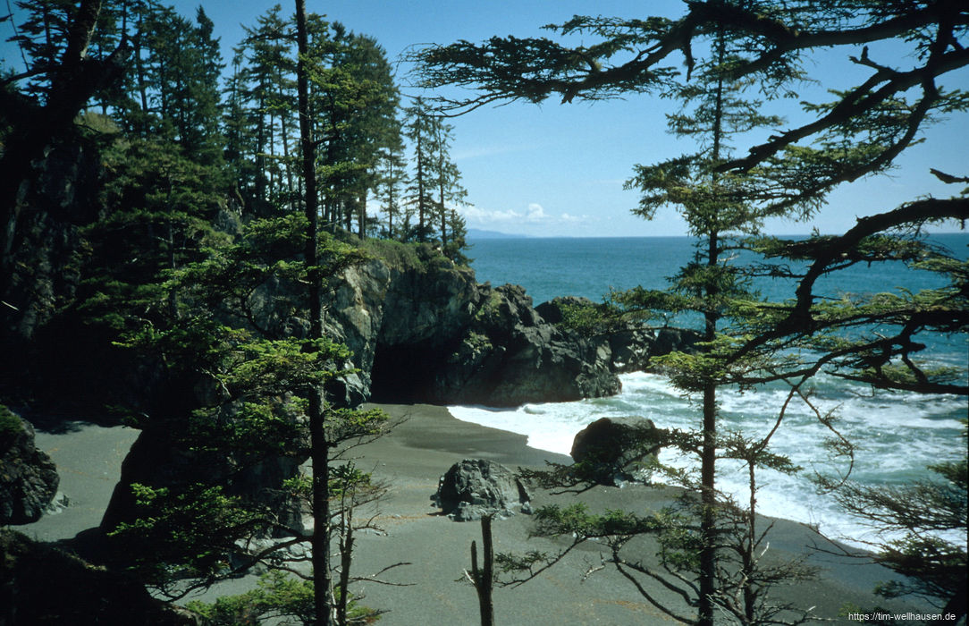 Bilder vom West Coast Trail - Der mittlere Teil der Wanderung verlief entweder nahe an der K�ste oder direkt auf dem Strand.