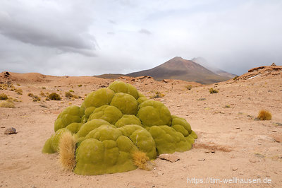 Aussicht auf den Vulkan Ollagüe, den einzigen aktiven Vulkan Boliviens