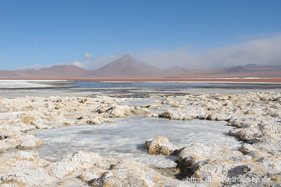 Auf über 4000 Metern Höhe ist es bitterkalt - die Laguna Colorada ist am Rand vereist.