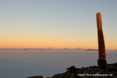 Morgengrauen auf der Isla del Pescado mitten im Salar de Uyuni