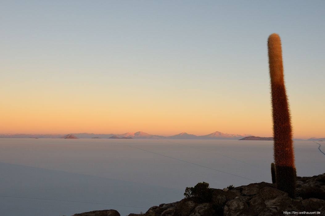 Morgengrauen auf der Isla del Pescado mitten im Salar de Uyuni