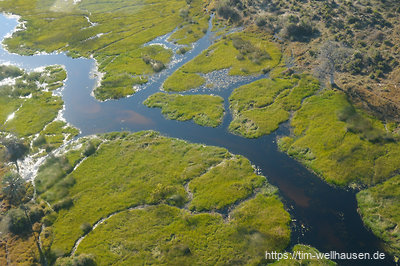Aus der Luft sind die vielen Wasserwege gut zu beobachten, die sich quer durch das Okavango-Delta erstrecken.