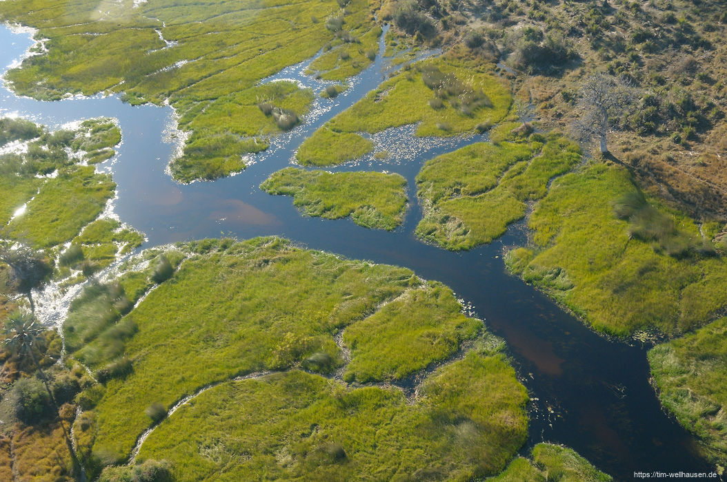Aus der Luft sind die vielen Wasserwege gut zu beobachten, die sich quer durch das Okavango-Delta erstrecken.