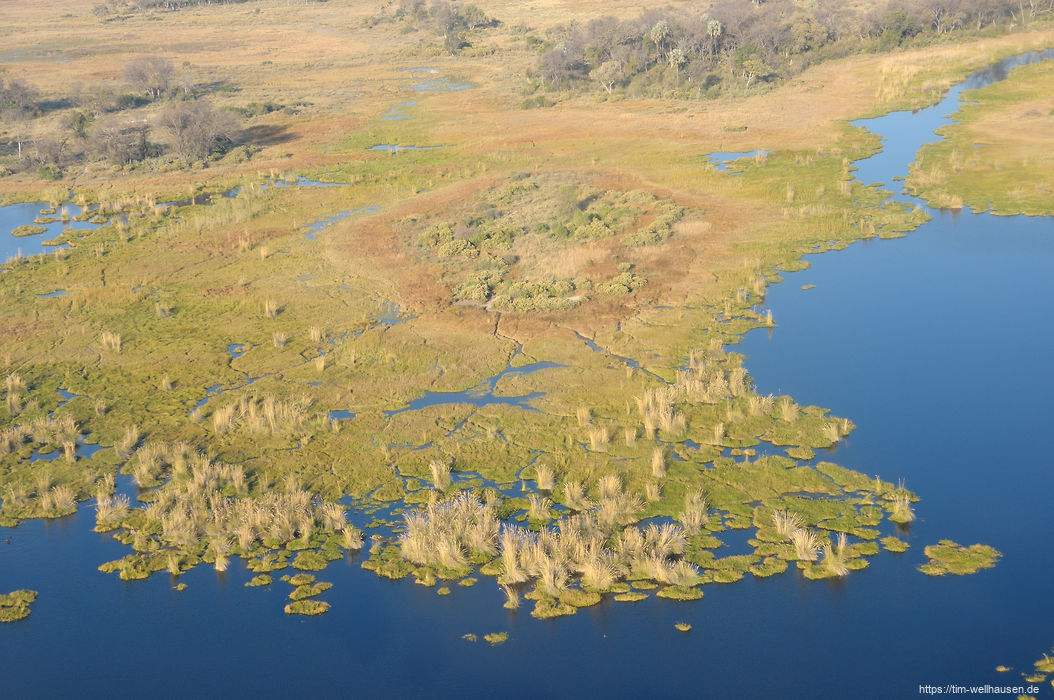 Überflutungsgebiet im Okavango-Delta im Norden von Boswana.