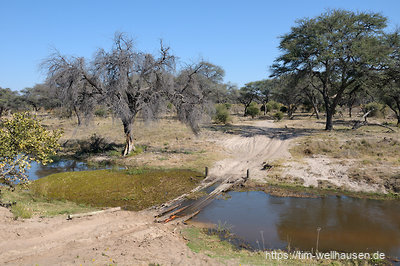 Das Randgebiet des Okavango-Deltas ist zwar gut mit dem Auto zu befahren. Neben viel tiefem Sand erschwert aber Wasser das Fahren. Am Kwando nimmt einem wenigstens eine provisorische Brücke das unangenehme Durchqueren des tiefen Wassers ab.