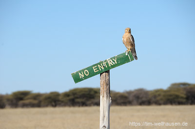 Begrüßung im Deception Valley im Herzen des Central Kalahari Game Reserves - eigentlich war nur gemeint, dass man die Wege nicht verlassen sollte...