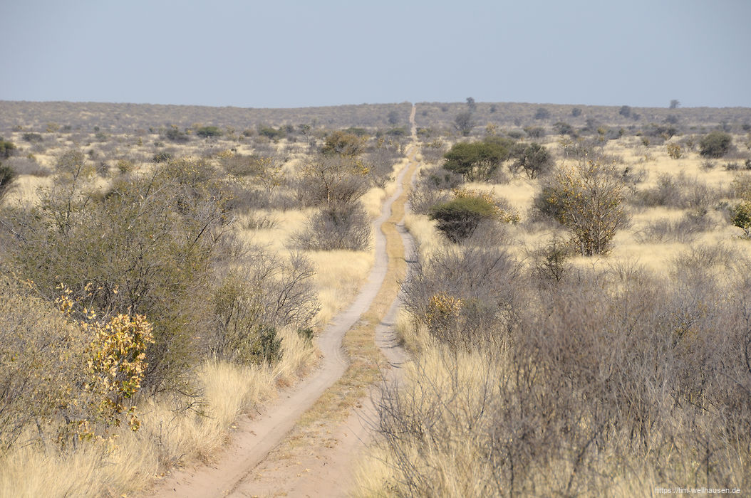Der Weg durch die zentrale Kalahari ist lang und sandig.