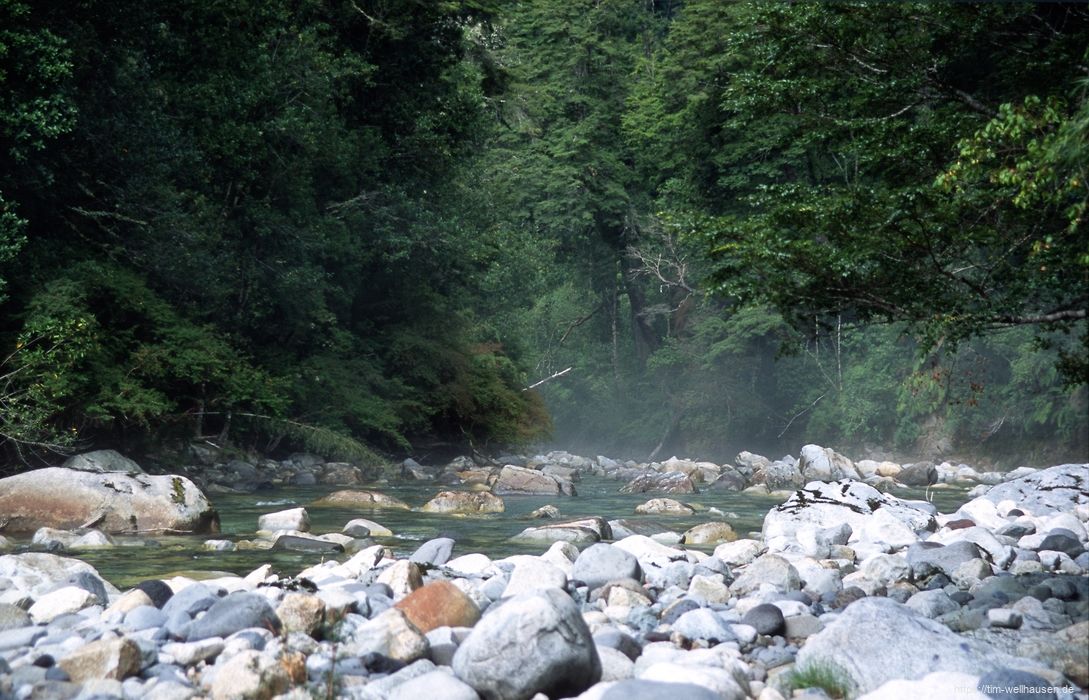 Der Rio Sin Nombre im Nationalparks Vincente Perez Rosales