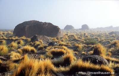 Im Geysirfeld von Tatio