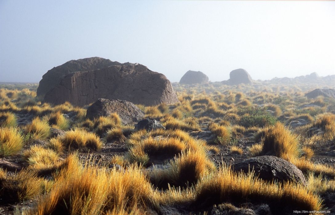 Im Geysirfeld von Tatio