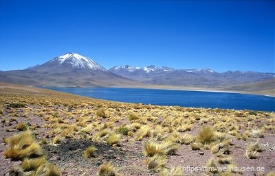 Im Altiplano: Blick auf die Lagune Miniques und den Vulkan Miniques auf 4500m Höhe