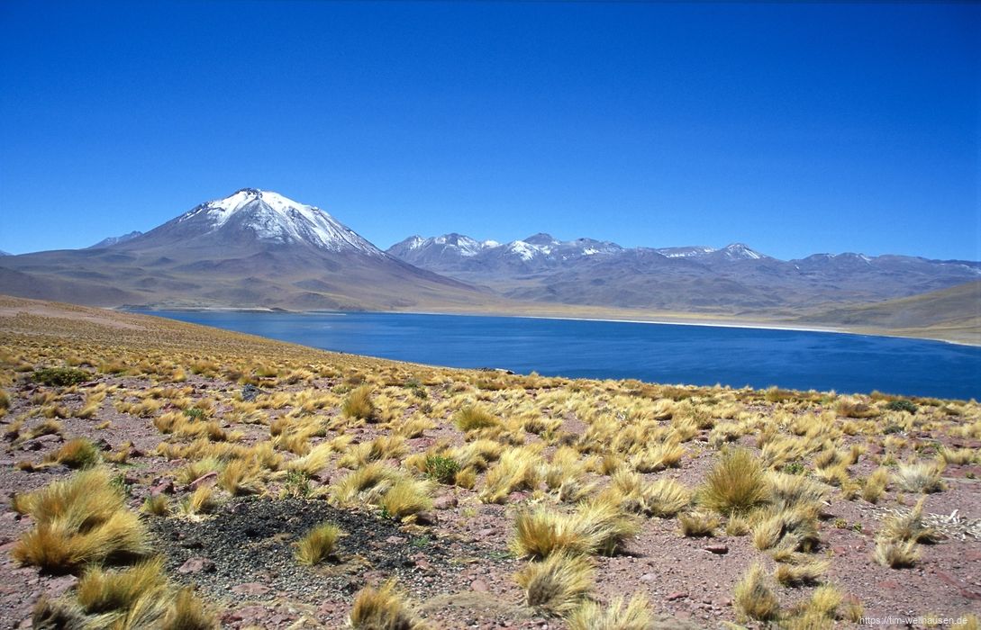 Im Altiplano: Blick auf die Lagune Miniques und den Vulkan Miniques auf 4500m Höhe