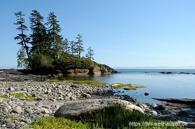 Der Juan de Fuca Trail auf Vancouver Island bietet auch für eine Tageswanderung ein wildes Westküstenerlebnis, ganz wie der große Bruder im Norden - der West Coast Trail.