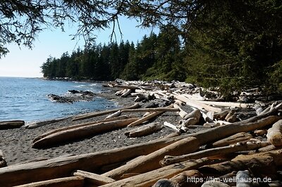 Die Strände entlang des Juan de Fuca Trails sind voll mit angespülten Baumstämmen.