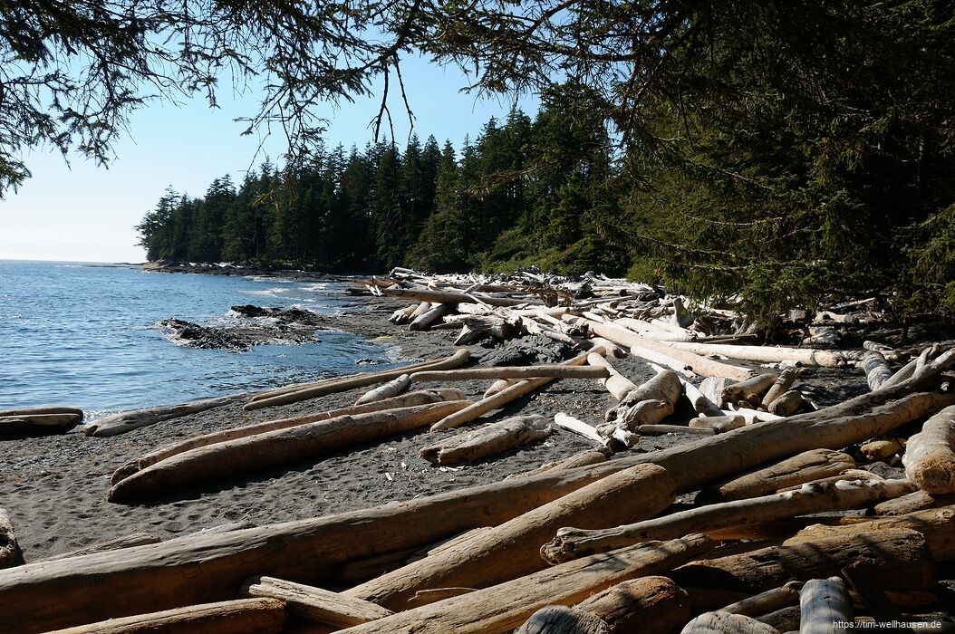 Die Strände entlang des Juan de Fuca Trails sind voll mit angespülten Baumstämmen.