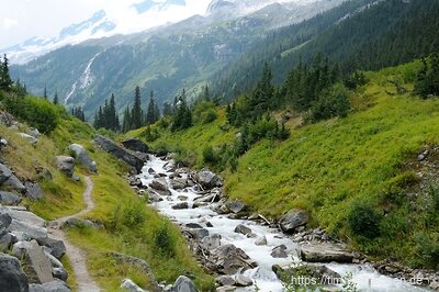 Im Glacier National Park wandern wir in das Asulkan Valley hinein.