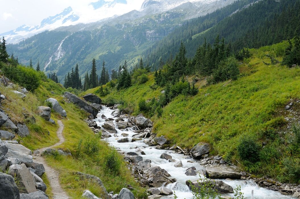 Im Glacier National Park wandern wir in das Asulkan Valley hinein.