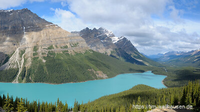 Die ikonische Sicht auf den Peyto Lake entlang des Icefields Parkway.