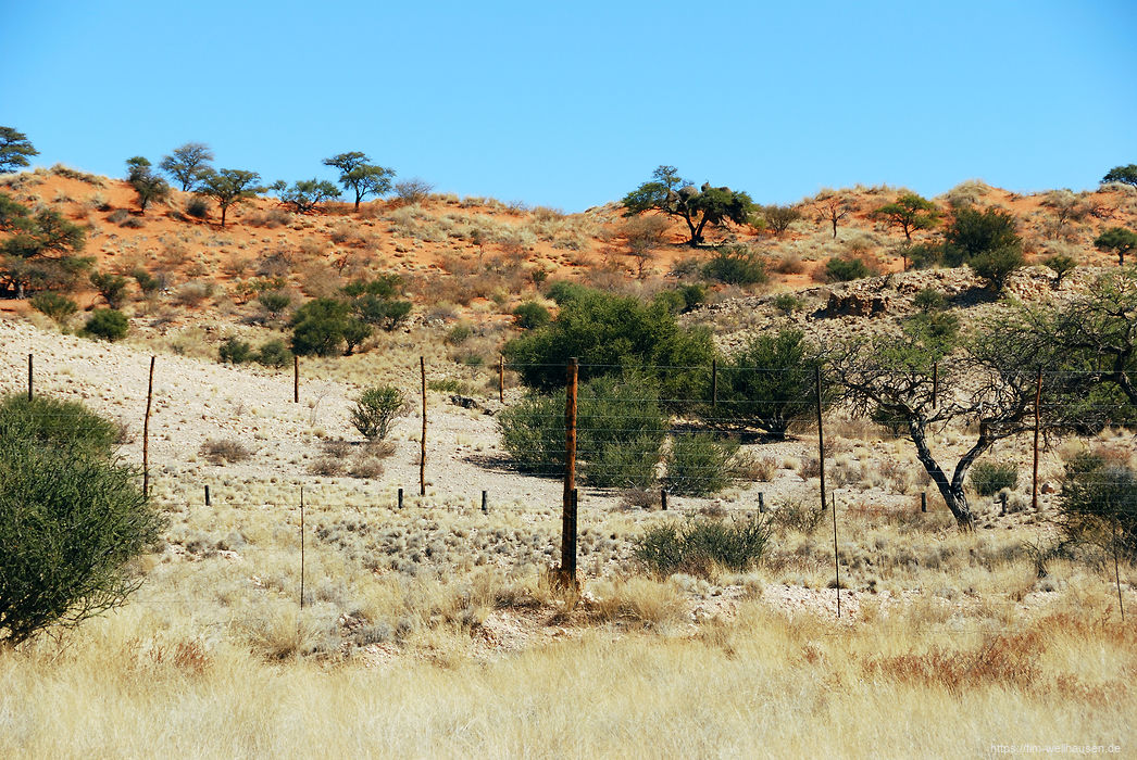 In Namibias Süden sind alle Straßen von Zäunen umgeben. Dieser hier gehört noch zu den kunstvollen - mit Kalahari-Ausläufern im Hintergrund.