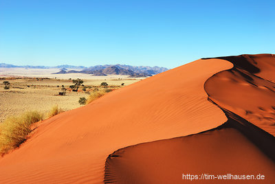 Eine etwas größere Düne mitten im Namib Rand Reserve.