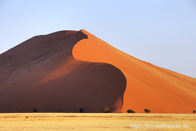 Zwischen Sesriem und Sossusvlei stehen gigantische Dünen am Straßenrand (nicht nur die Düne 45), während man immer tiefer in die Namib eindringt.