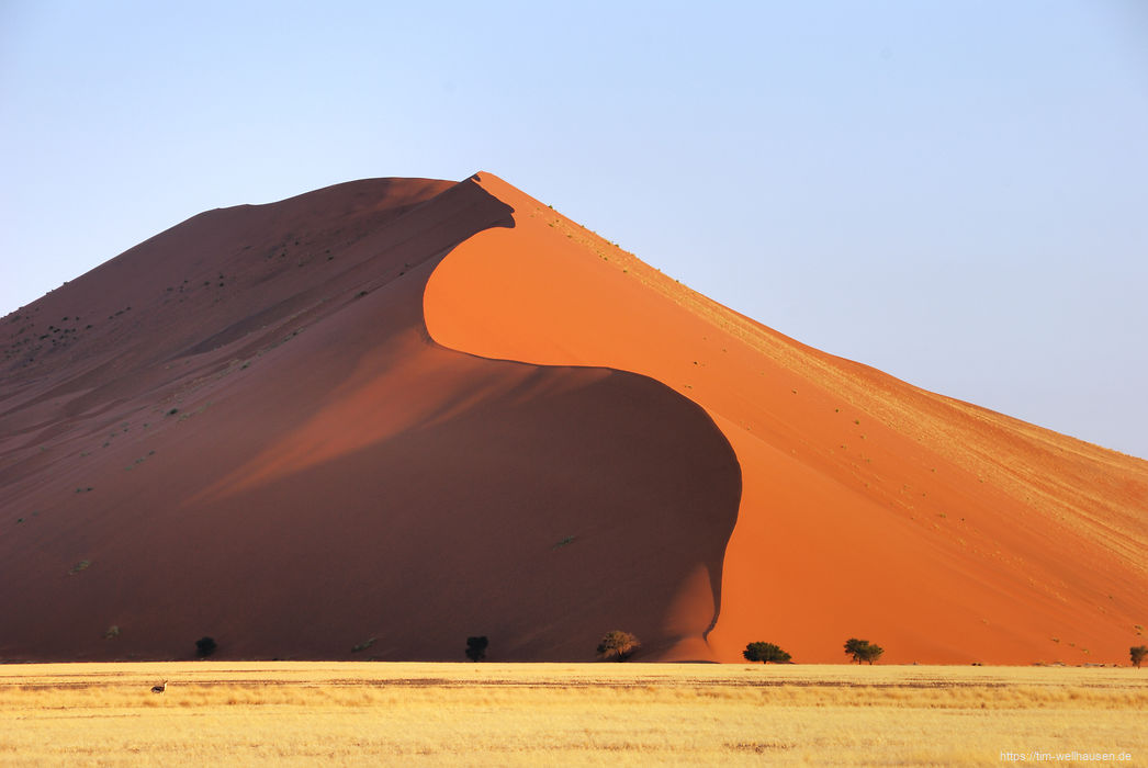 Zwischen Sesriem und Sossusvlei stehen gigantische Dünen am Straßenrand (nicht nur die Düne 45), während man immer tiefer in die Namib eindringt.