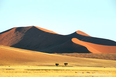 Die Dünen der Namib sind nicht nur die höchsten in Namibia, sondern sollen die höchsten weltweit sein.