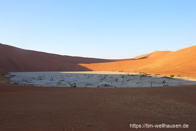 Das wohl meistfotografierte Areal in Namibia: das Dead Vlei.