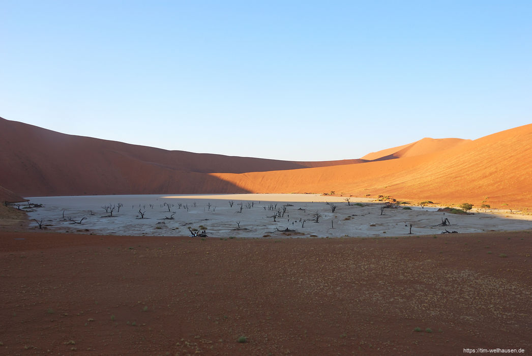 Das wohl meistfotografierte Areal in Namibia: das Dead Vlei.