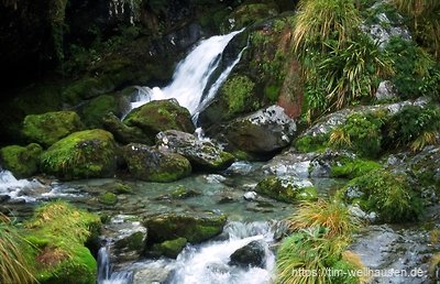 Routeburn Track, im Regen