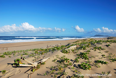 Die St. Lucia Wetlands grenzen an den Indischen Ozean - entsprechend warm ist das Wasser an den Stränden.