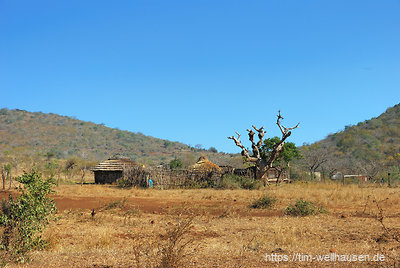 Auf der Fahrt von KwaZulu Natal nach Swaziland begegnen einem noch viele traditionelle Hütten - meistens ein Zeichen für die Armut der Gegend!