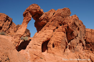 Unsere Reise begann im Valley of Fire nahe Las Vegas mit dem Elephant-Rock.