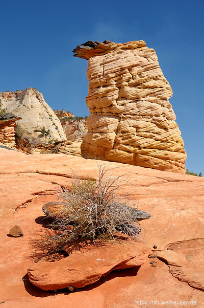Auf dem Zion-Plateau
