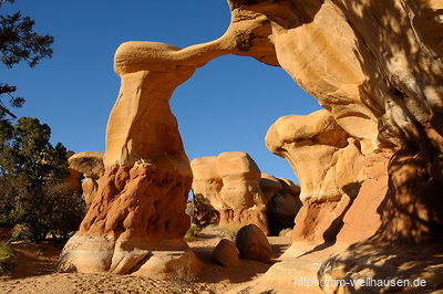Im Devil's Garden nahe Escalante steht der Metate Arch - klein, aber filigran.